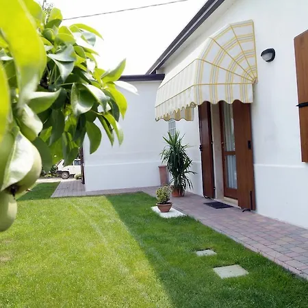 Ai 4 Olivi